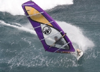ZONE 2009 / WAVE