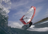 ALPHA 2009   /    WAVE