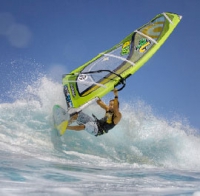 THE FLY 2009 / WAVE