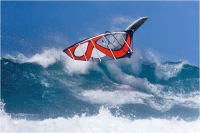 Legend 2010 / wave