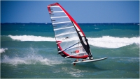 TR-6 2010 / race, slalom
