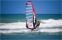TR-6 2010 / race, slalom