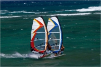 Pursuit 2011